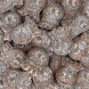 Bubs Bläckfiskar Saltade 2,4kg