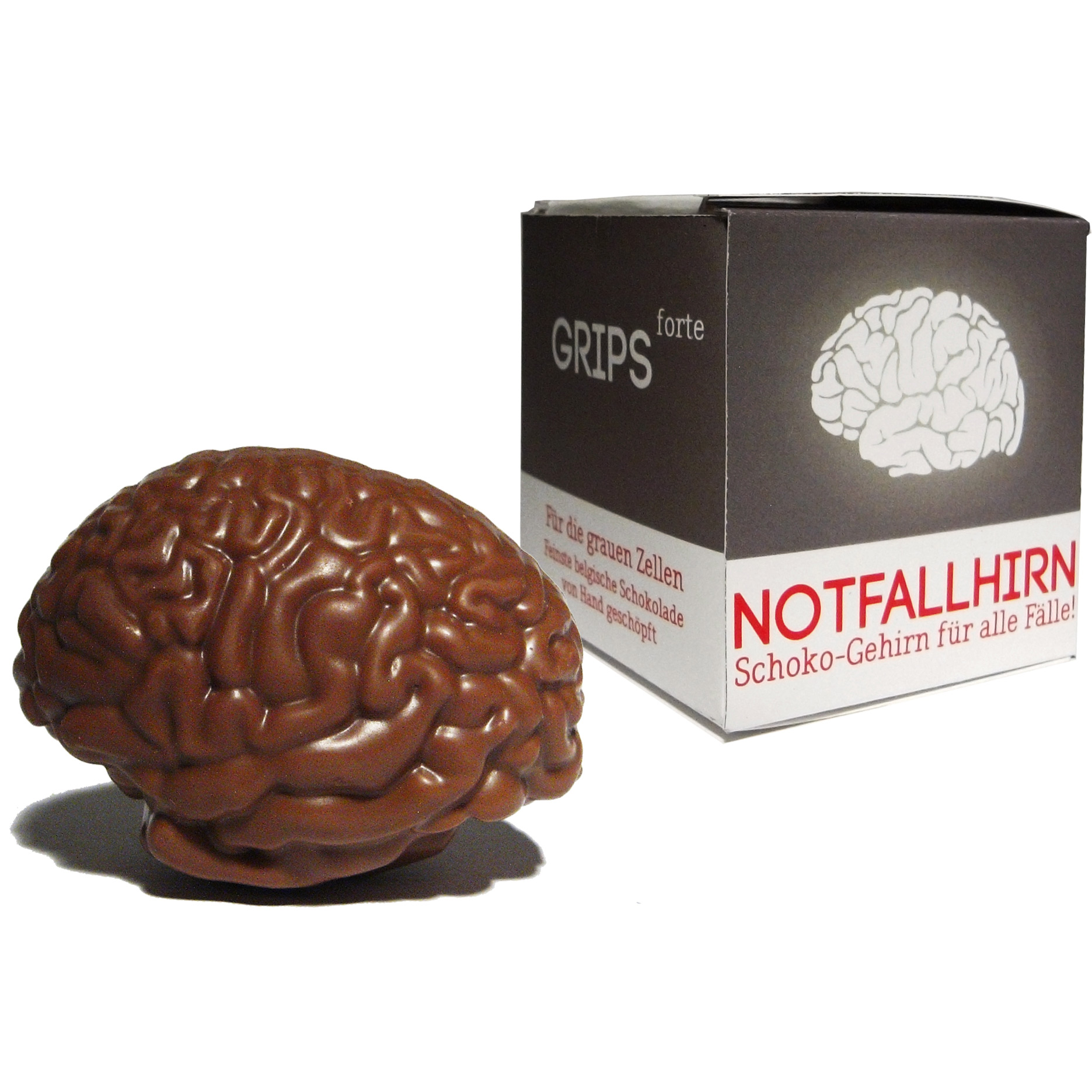 Notfallhirn